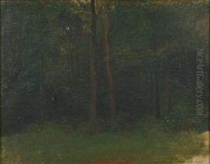 Study For Wooded Landscape