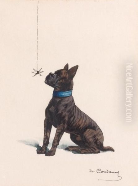 Chien A L'araignee - view 1