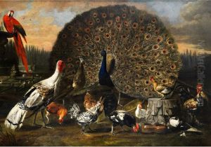Rad Schlagender Pfau Zwischen Federvieh,truthahn Und Rotem Ara by David de Coninck