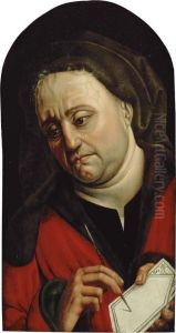 Saint Luke Painting The Virgin by Colijn de Coter