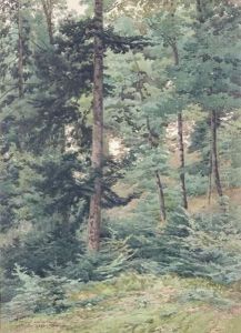 Vue De La Foret Vosgienne Vue De La Foret Vosgienne