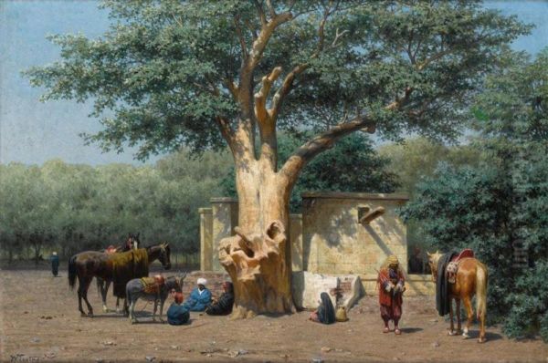 Le Puits Et Le Vieux Sycomore A La Place De L'esbekieh Au Kaire (egypte) - view 1