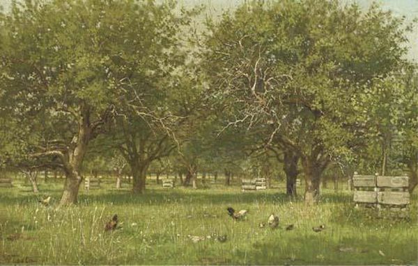 Chickens In An Orchard - view 1
