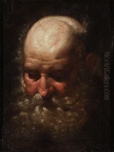 Uomo Barbuto by Orazio De Ferrari