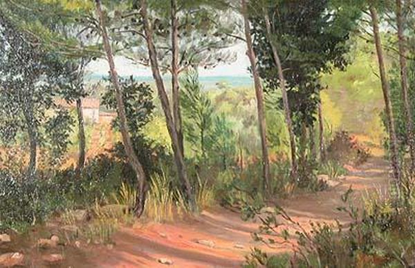 Camino En El Bosque. - view 1