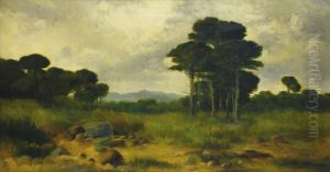 Paisaje