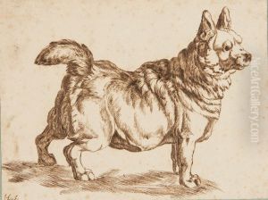 Welsh Corgi, Vu De Profil by Andries Jacobsz. Stock