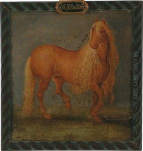Ritratto Di Cavallo by Andries Jacobsz. Stock