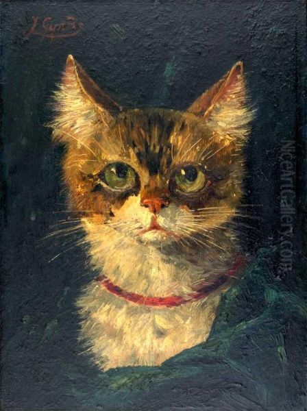 Gato - view 1