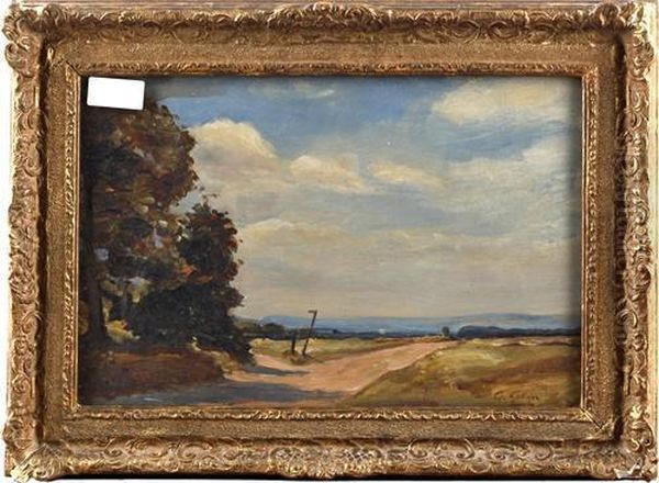 Ludshott Common - view 1