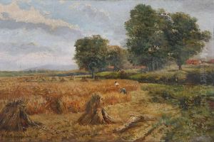 Op Het Veld by Edmond De Goncourt