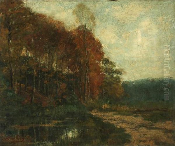 A Forest Clearing - view 1