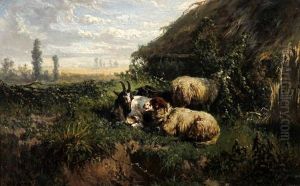 Sheep Resting By A Bothy In A Wooded Landscape Sheep Resting By A Bothy In A Wooded Landscape