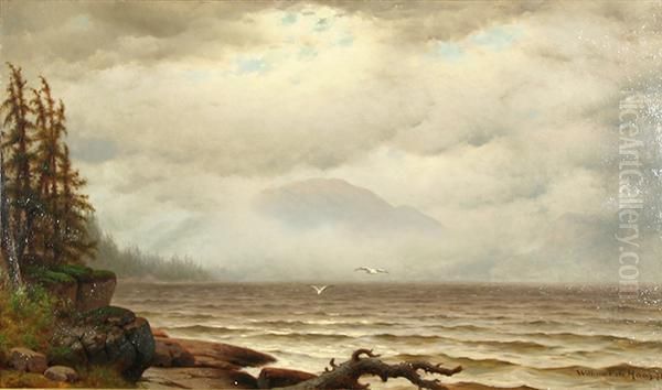 Maine Coastal Scene - view 1