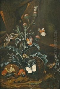 Waldbodenstilleben Mit Distel, Schmetterlingen, Schnecke Und Echsen by Carl Wilhelm de Hamilton