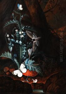 Waldbodenstillleben Mit Distel, Schmetterling Und Nachtfalter by Carl Wilhelm de Hamilton