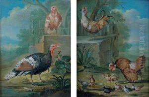 Poule Et Coq Avec Leurs Poussins by Johann Georg Hamilton