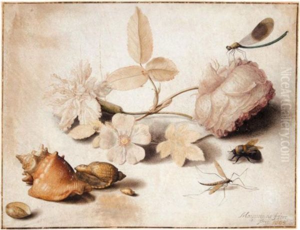 Study Of Flowers, Insects And Shells - view 1