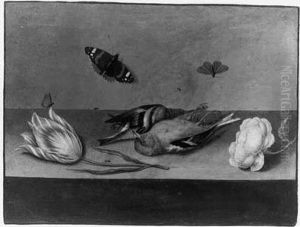 A Still Life With Dead Songbirds, A Rose, A Tulip, Butterflies Andother Insects On A Ledge by Willem De Heer