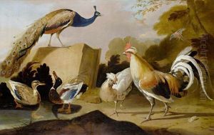 Peacock, Ducks And Chickens In An Open Landscape by Melchior de Hondecoeter