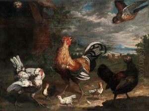 Hawk Attacking Hens Family