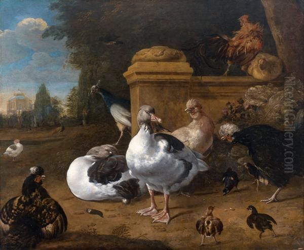 Animaux De Basse-cour - view 1