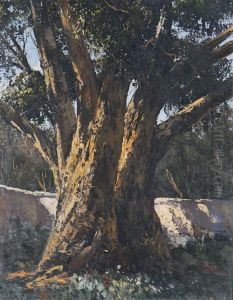 The Old Tree by Tinus De Jong