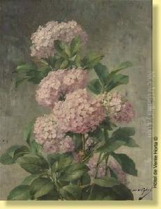 Hydrangea by Desire de Keghel