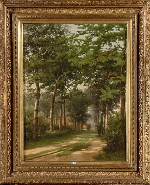 Chemin Arbore - view 1