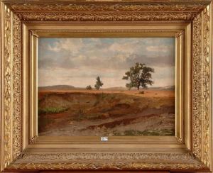 Terrains En Bruyere by Alfred De Knyff