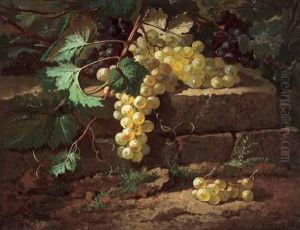 < Grappe De Raisin >. < Grappe De Raisin >.