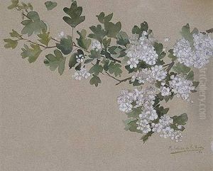 Rama De Almendro En Flor