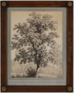 Arbre Dans Un Paysage