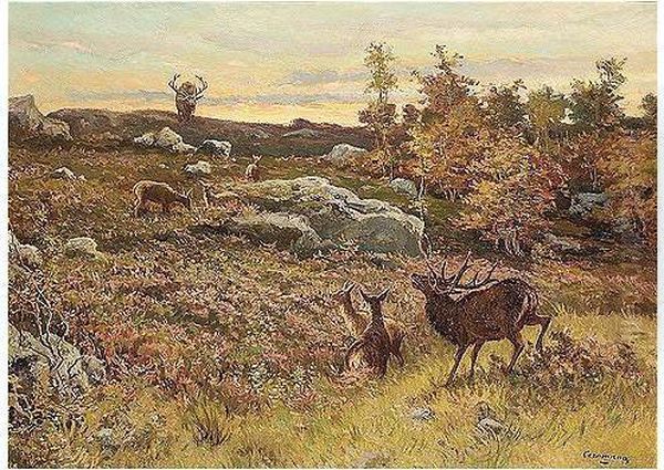 Stags - view 1
