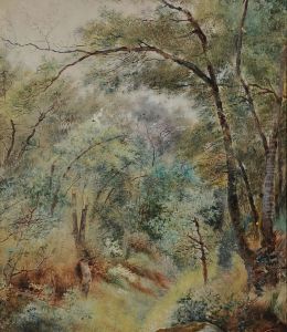 Escosoura Bosco Di Fontainbleau A Parigi