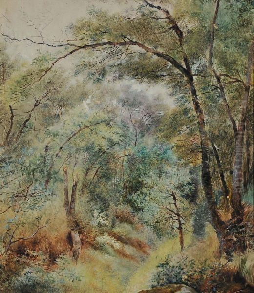 Bosco Di Fontainbleau A Parigi - view 1