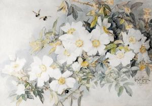 White Roses With Carpenter Bees