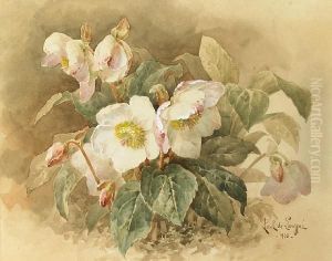 Pink And White Cyclamen by Paul De Longpre