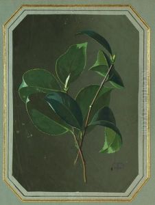 Gardenia Leaves by Paul De Longpre