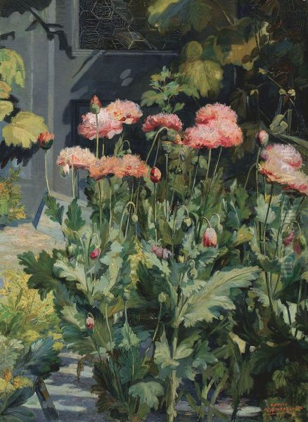 Papavers - Pavots - view 1