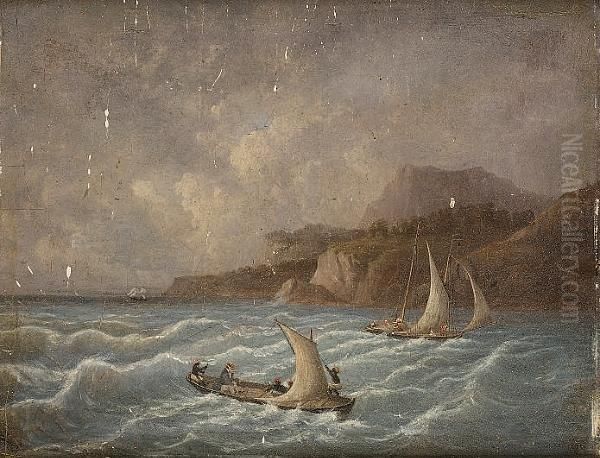 Shipping Off A Caribbean Coastline - view 1