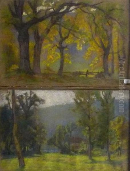 Sous Bois En Automne - view 1