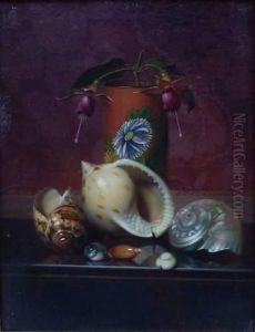 Nature Morte Aux Coquillages