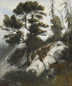 Steile Gebirgspartie Mit Einem Auerhahn by Albert De Meuron