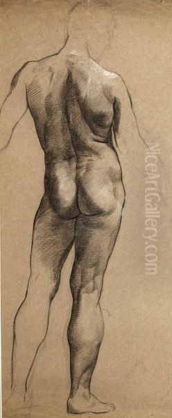Male Nude, Back View - view 1