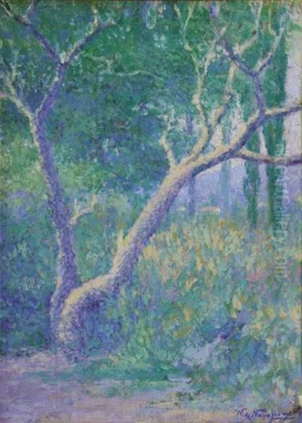 Arbol Muerto - view 1