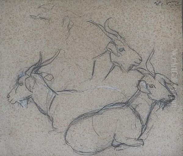 Cabras - view 1