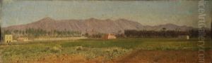 Paesaggio Pugliese