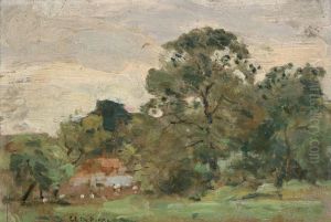 Landschap Landschap