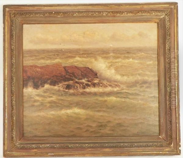 A Seascape With Waves Crashing On Rocks - view 1